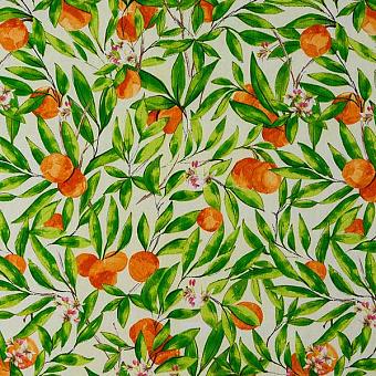 Ткань Porter & Stone Seville Orange коллекции Glasshouse
