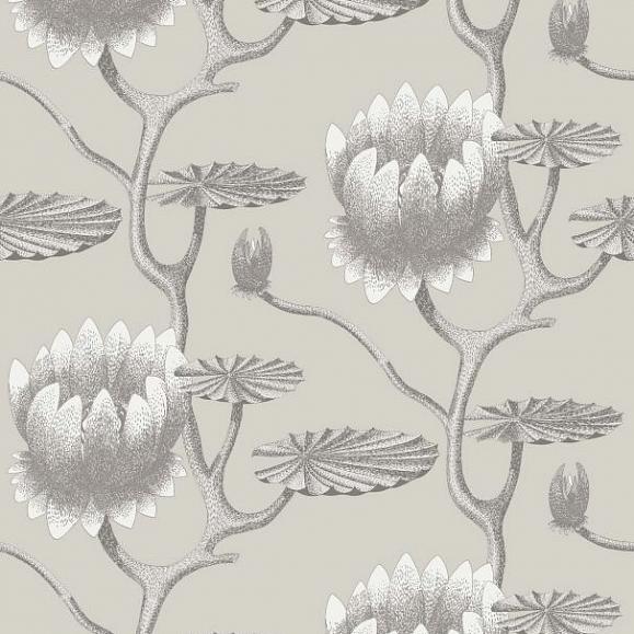 95/4025, Contemporary Restyled, Cole & Son