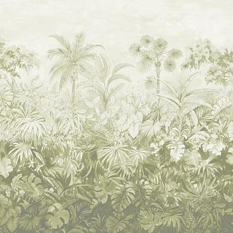 Флизелиновые обои Paint & Paper Library 0360JAWILLO коллекции Botany