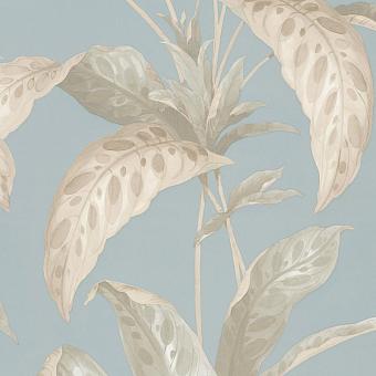 Флизелиновые обои Paint & Paper Library 0360TRSEANO коллекции Botany