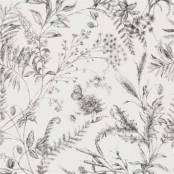 Бумажные обои Ralph Lauren PRL710/04 коллекции Signature Florals