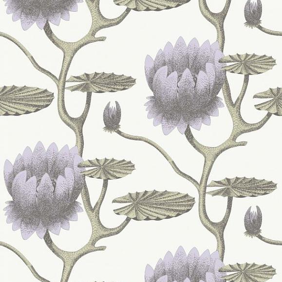 95/4023, Contemporary Restyled, Cole & Son - фото №1