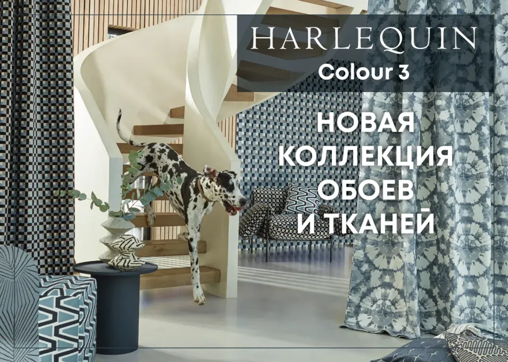 Harlequin_Colour_3_1200x857.webp